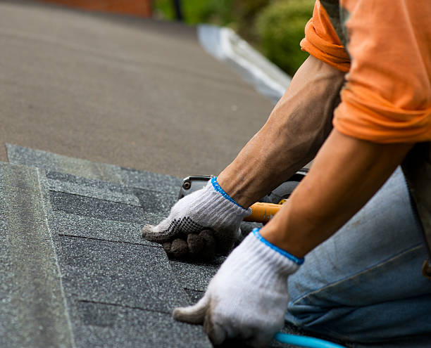 Best Gutter Installation and Roofing  in Fife, WA