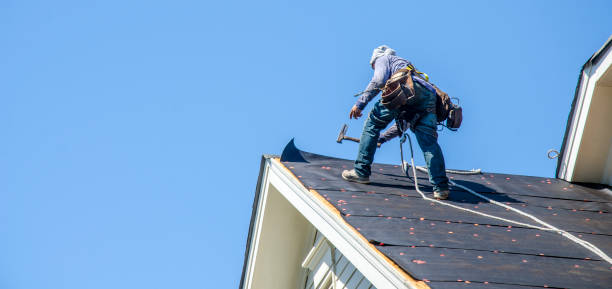 Best Storm Damage Roof Repair  in Fife, WA
